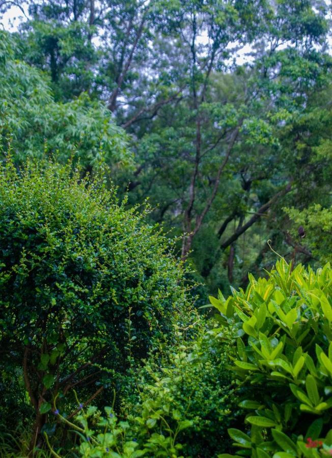 Siang Tsao Yu Chong Guest House Sanyi Bagian luar foto